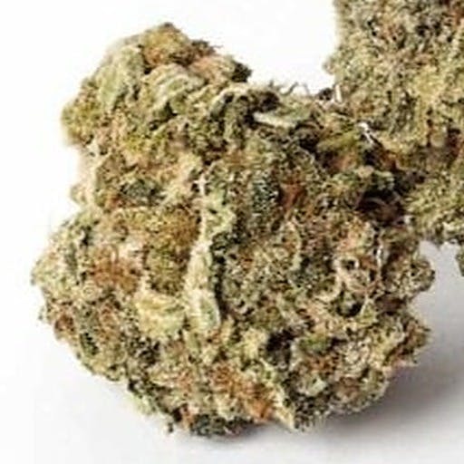 Blueberry